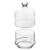 A clear glass lemon dish with a lid, presented separately. Anteprima dell’immagine prodotto