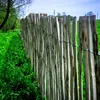A wooden fence in a grassy field. Produktbild-Vorschau