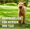 Rasen- & Gartenkalk Compo  10 kg / 200 m² Produktbild-Vorschau 6