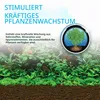 Fluval  Stratum / Vulkanboden, contenido: 8 kg Vista previa de la imagen del producto 3