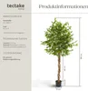 tectake® Künstlicher Ficusbaum Fida verschiedene Größen Produktbild-Vorschau 5
