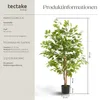 tectake® Künstlicher Ficusbaum Fida verschiedene Größen Produktbild-Vorschau 5