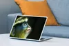 MuchoWow® Laptop Aufkleber Sticker Cover Affe - Fell - Produktbild-Vorschau 4