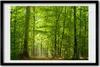Bild 60x40 MDF-Rahmen, Wandkunst Laubwald Produktbild-Vorschau 1