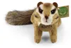 Peluche Scoiattolo 17 Cm Ecologico Anteprima dell’immagine prodotto 2