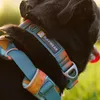Ruffwear Front Range™ Hundehalsband Produktbild-Vorschau 11