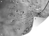 MuchoWow® Produktbild-Vorschau 1