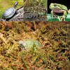 Repti-Zoo Chiles Sphagnum-Moos - 4,5 l für Terrarien Produktbild-Vorschau 8