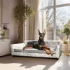 A Doberman Pinscher dog is lying on a luxurious, tufted dog sofa in a well-lit living room with large windows. Náhled obrázku produktu