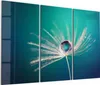 DEQORI Glasbild Echtglas 3x50x100 cm 'Inszenierte Produktbild-Vorschau 1
