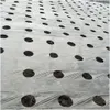 Film diserbante con fori per piante 0,95 x 10 m con Anteprima dell’immagine prodotto 7