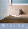 Never give up! Postkartenkalender 2027 - Durchhalten. Denn Produktbild-Vorschau 9