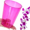 A hand holding a pink orchid pot with purple and white orchids next to it. Anteprima dell’immagine prodotto