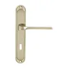 A single door handle set on a white background. Anteprima dell’immagine prodotto