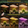 A collage of images showing a plant grow light in different lighting modes and brightness levels, with plants underneath. Náhľad obrázku produktu