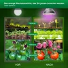 A split image showing plant growth stages before and after using a grow light. Produktbild-Vorschau