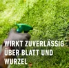 A hand wearing a black glove sprays a lawn with a green spray bottle. The lawn is green and appears to have some weeds. Produktbild-Vorschau