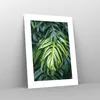 Poster - Poster ohne Rahmen - Blume Natur - 30x40 cm - Wand Produktbild-Vorschau 7