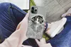 MuchoWow® Handyhülle Schutzhülle Hülle für iPhone 11 Pro Produktbild-Vorschau 3