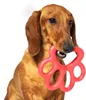 BAMA Jouet pour chien ORMA BIG Couleur : rouge Voir les images du produit 9