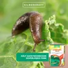 Clevere Schneckenfalle für einen schönen, ungestörten Produktbild-Vorschau 5