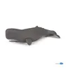Papo Deutschland GmbH Papo 56036 Pottwal 1 Produktbild-Vorschau 5