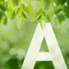 A large white letter 'A' with water droplets is superimposed on a blurred background of green leaves and bokeh lights. Voir les images du produit