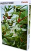 Haeckel Kolibris Puzzle 1000 Teile – farbenfrohes Produktbild-Vorschau 3