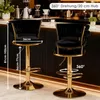 Lot de 2 tabourets de bar, tabourets de comptoir, tabourets Voir les images du produit 2