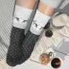 Footstar Damen Wintersocken (6 Paar), Warme Vollfrottee Produktbild-Vorschau 4