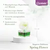 CLENTAIRE 15 x 75ml Spring Flower Premium Raumduft Produktbild-Vorschau 5