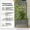 Mucola Rankgitter mit Pflanzkasten Spalier Blumenkasten Produktbild-Vorschau 12