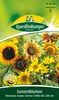 Sonnenblume, Mischung hoher Sorten Produktbild-Vorschau 6