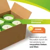 BioGreen 6er-Set ökologische Kerzen aus REWAX-Biomasse für Produktbild-Vorschau 4