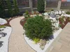 A landscaped garden path with white gravel and a small evergreen bush. Anteprima dell’immagine prodotto