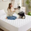 A woman and her dog on a bed with a white mattress protector. Produktbild-Vorschau