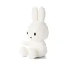 A white plush toy rabbit sits on a white background. Produktbild-Vorschau