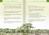 Artemisia annua - Heilpflanze der Götter. Kompakt-Ratgeber Produktbild-Vorschau 6