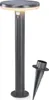 A solar-powered outdoor lamp with a stake. Produktbild-Vorschau