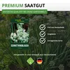 Schnittknoblauch Mehrjährig Samen - Allium tuberosum - Produktbild-Vorschau 8