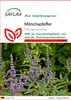 SAFLAX - Heilpflanzen - Mönchspfeffer - 30 Samen - Vitex Produktbild-Vorschau 1