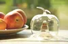 Esschert Design EG 20 Fruchtfliegenfalle 'Apfel', Glas, 9,4 Produktbild-Vorschau 5