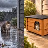 Katzenhaus XL Katzenhütte Katzenhöhle Outdoor draußen Produktbild-Vorschau 7