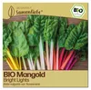 Samenliebe  Mangold Samen | Bright Lights - winterhart & Produktbild-Vorschau 1