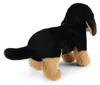 Peluche chien teckel, 23 cm, fabriquée de manière Voir les images du produit 3