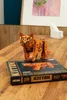 Puzzle 3D, Czerwony Kotek, EWA, Drewno, 236 Elementów Podgląd zdjęcia produktu 9