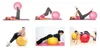 Verk Gymnastický míč s pumpičkou 65 cm červená Náhled obrázku produktu 3