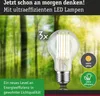 Paulmann Eco-Line Filament 230V LED Birne 3er-Set Produktbild-Vorschau 3