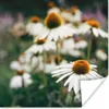 MuchoWow® Poster Blumen - Herbst - Botanisch 50x50 cm - Produktbild-Vorschau 1