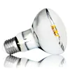 Světelný zdroj LED Filament E27 R80 8W = 65W 800 lm teplá Náhled obrázku produktu 1